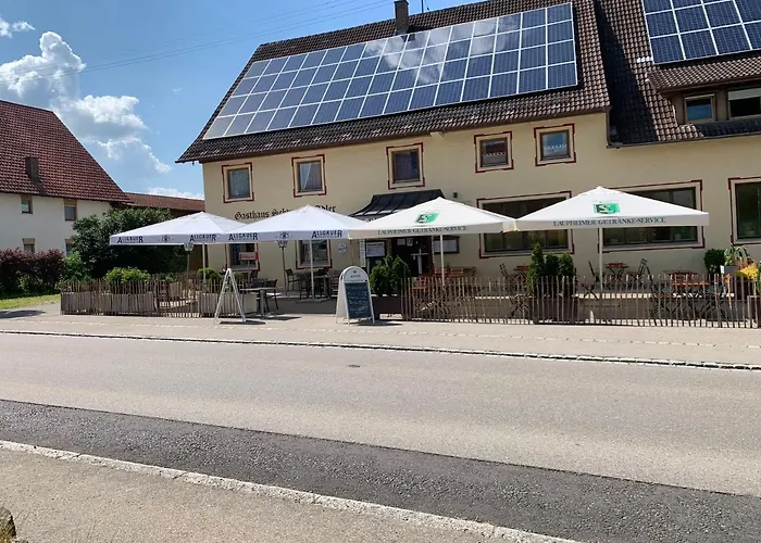 Schwarzer Adler